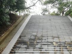 -菊花台公园