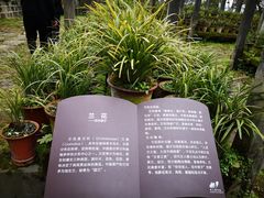 -南山植物园