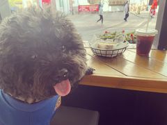-BIG BAGEL(永康路店)