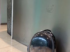 -瑞派申生动物医院·24H夜诊·国际动物医疗中心·骨外科(吴中路店)