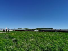 -塞罕坝国家级自然保护区