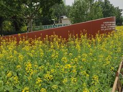 -BHG生活超市(安贞店)