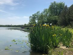 景点-东郊湿地公园