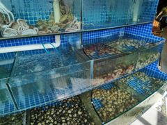 水产区-蟹谢蒸鲜自助餐厅
