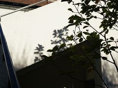 -Madeleine玛德琳(永平里店)