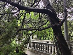 -叶家花园
