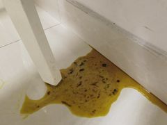 -康成宠物医院24H·CT·核磁共振