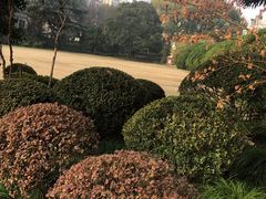 -中国福利会少年宫