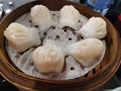 -高第街56号融合餐厅(振华五星百货店)