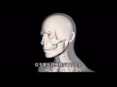 -裕和堂中医推拿艾灸(太古汇臻品店)