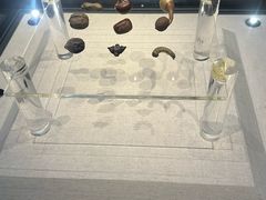 -汕头市博物馆