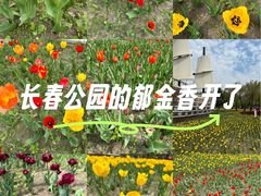 -长春公园(普阳街道)