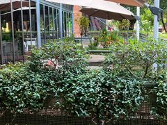 -芙蓉堂(武汉天地店)