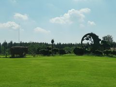 -东平国家森林公园
