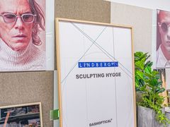 -大视光学•LINDBERG林德伯格•全球手工眼镜集合店(王府井店)