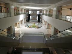 -南方医科大学深圳医院