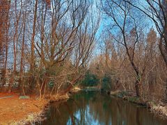 -溱湖国家湿地公园