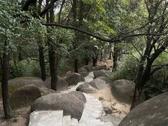 -火炉山森林公园