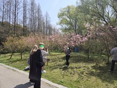 -同里国家湿地公园