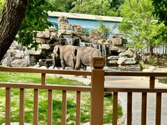 -北京野生动物园