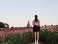 -大塘金香草谷