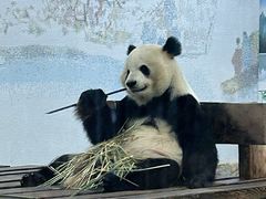 -无锡动物园·太湖欢乐园