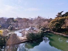 -无锡蠡湖国家湿地公园-蠡园