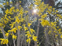 -永定河休闲森林公园