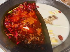 -朱光玉火锅馆(正弘城店)