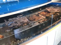 水产区-星伦多自助料理·涮烤一体(杭州来福士店)
