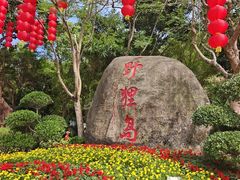 -野狸岛