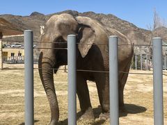 -新疆天山野生动物园