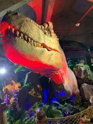 -恐龙探索乐园(磁器口店)
