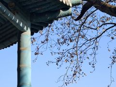 -东湖落雁景区