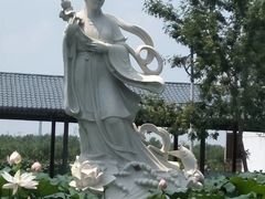 -白洋淀景区