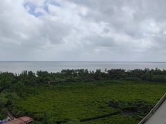 -东寨港红树林旅游区