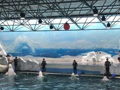 -秦皇岛乐岛海洋王国