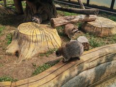 -大连森林动物园