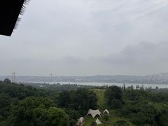 -张坝桂圆林公园