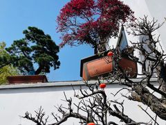 -龙华寺