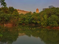 -上海吴淞炮台湾国家湿地公园