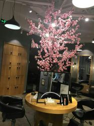 点击看大图 -时尚殿堂明星门店