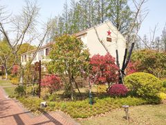 -上海长兴岛郊野公园