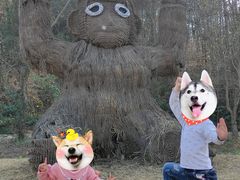 -黄陂区野村谷景区