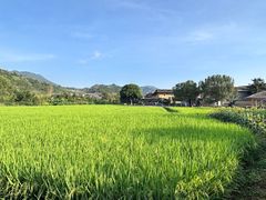 -云水谣景区