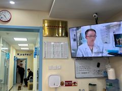 -全心全意连锁动物医院·微创中心·内科急重症·心脏专科(丰管路店)