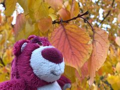 -长春世界雕塑园冰雪艺术天地