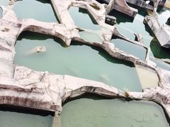 -蛇蟠岛