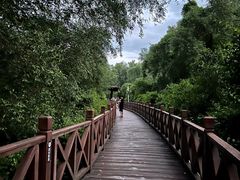 -大亚湾红树林城市湿地公园