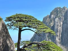 -黄山风景区